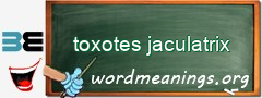 WordMeaning blackboard for toxotes jaculatrix